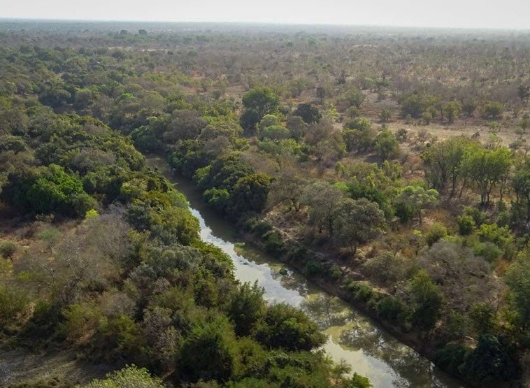 W National Park (Parc W), Tillabéri Region (tri-border with Benin & Burkina Faso), Niger